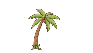 Cara menggambar pohon kelapa