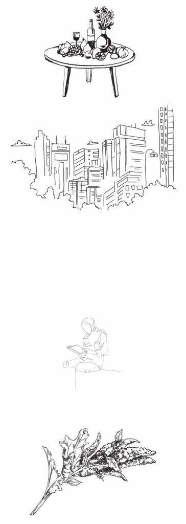 contoh gambar sketsa tumbuhan