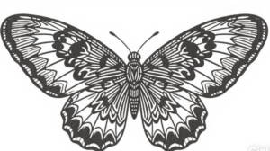 Menggambar kupu-kupu