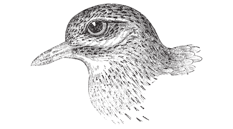 Teknik pointilis mata burung